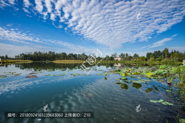 郫都区法治湿地公园