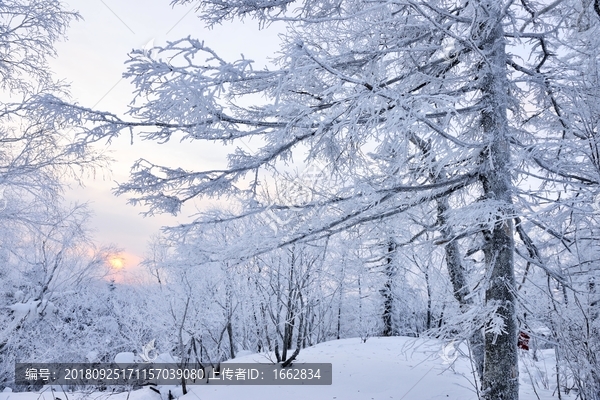 雪乡