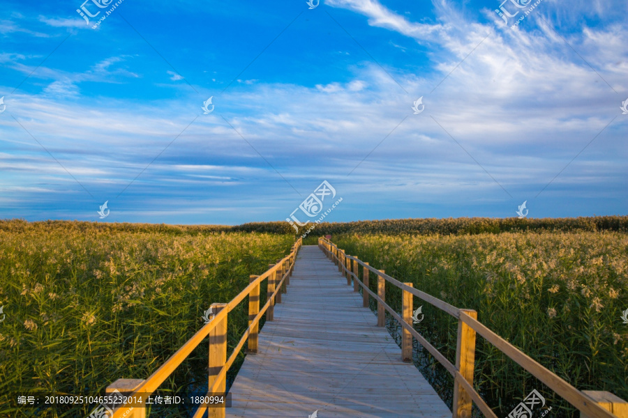 额济纳居延海风光