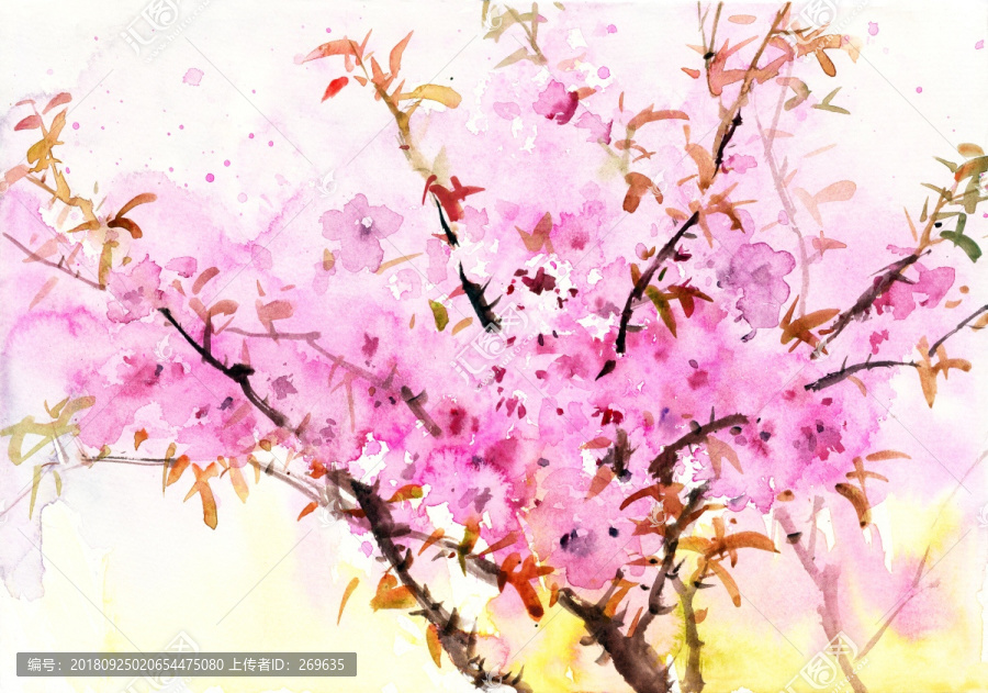 絢爛桃花