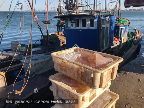 海边码头渔市场