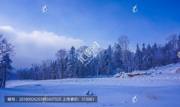 雪景壁纸