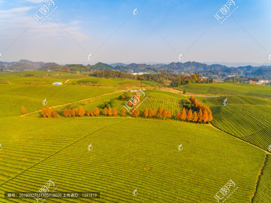 航拍中国茶海景区