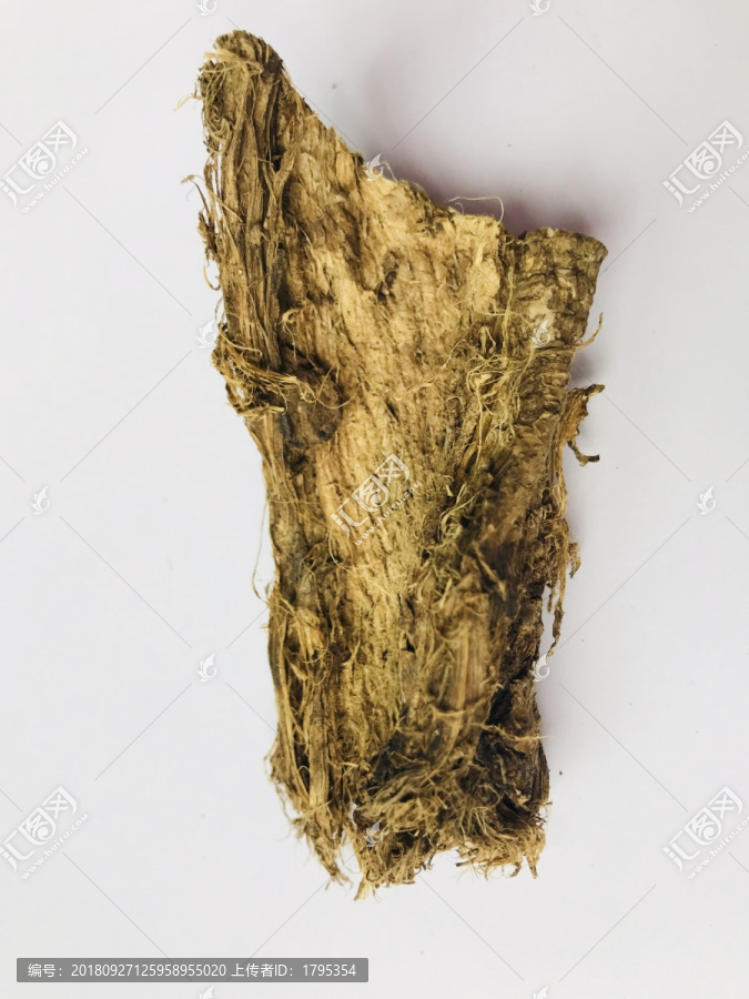 葛根