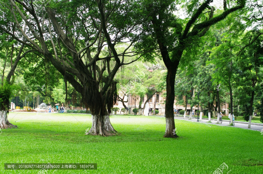 中山大学