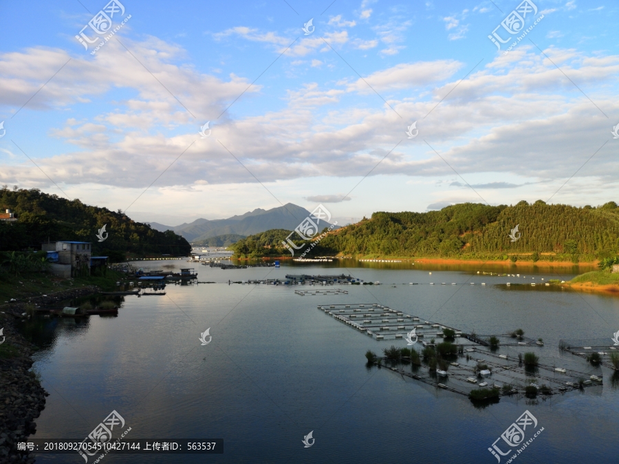 樟湖风光