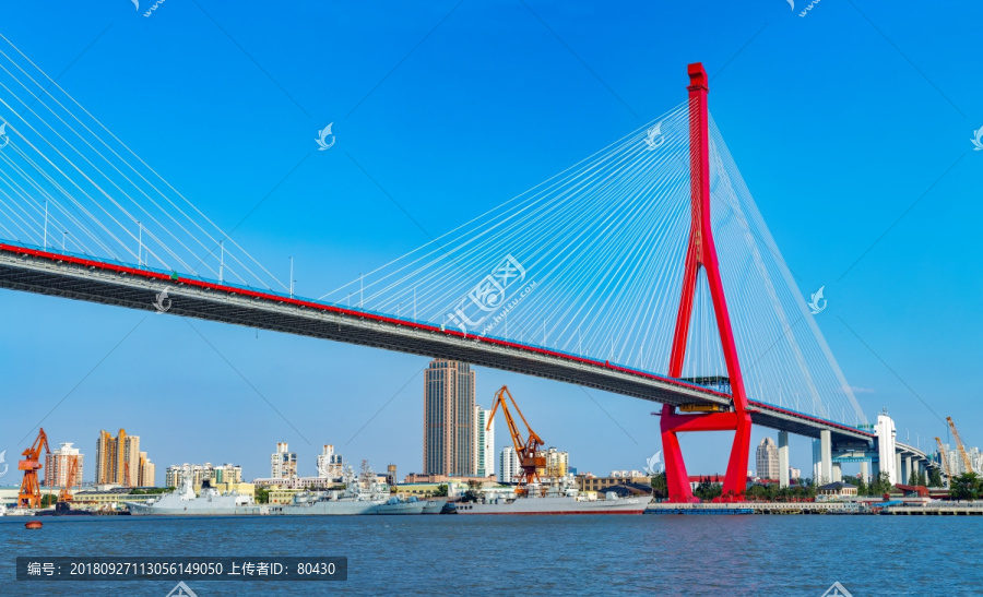 楊浦大橋全景