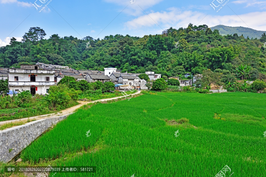 岭南建筑杨池古村