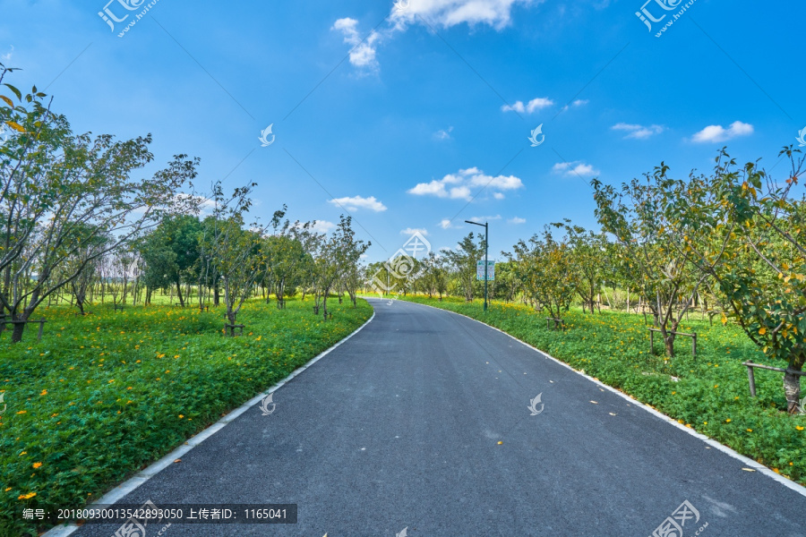 园林道路