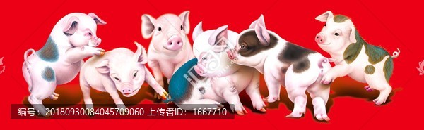 小豬