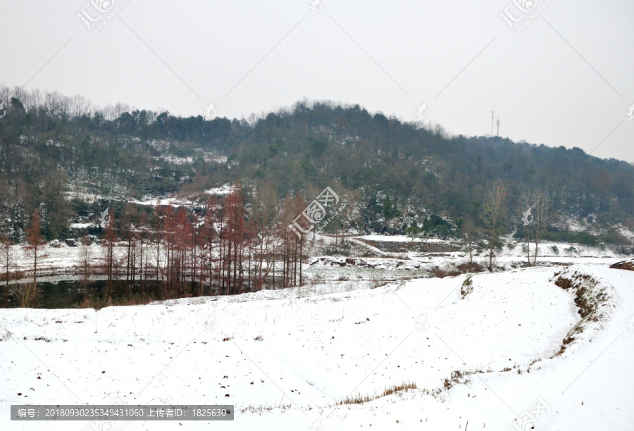 乡村雪景