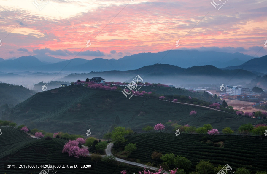 永福樱花园