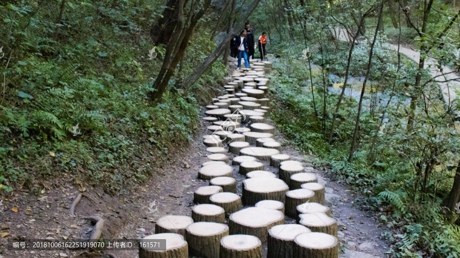 重渡沟林间小道