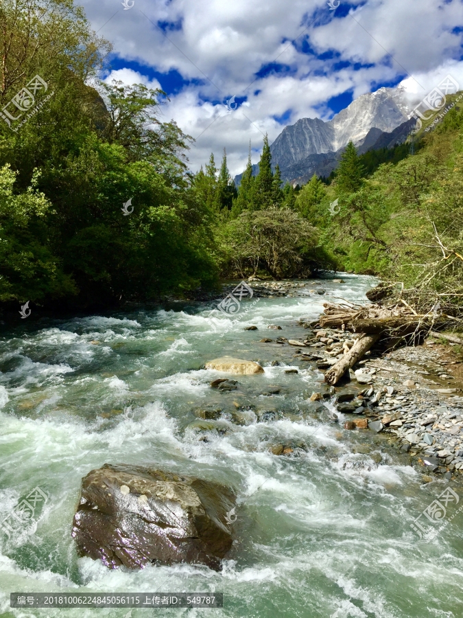 高原森林河流