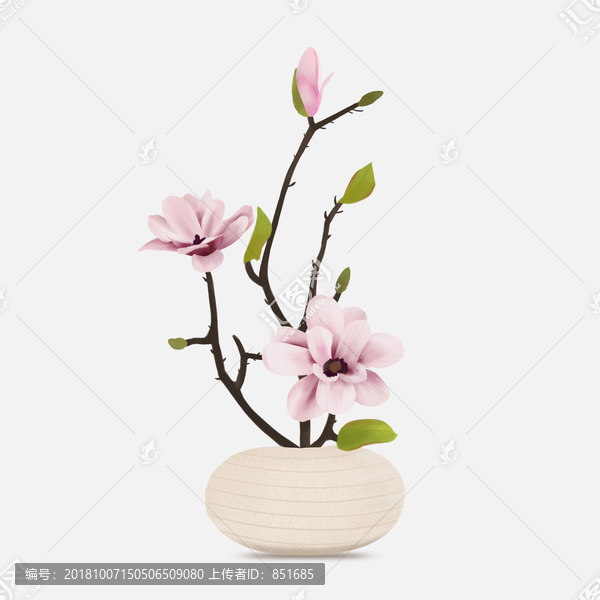 玉蘭花盆栽