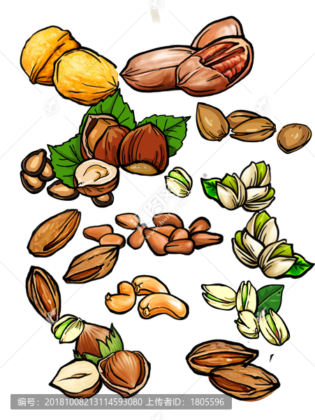 堅(jiān)果插畫