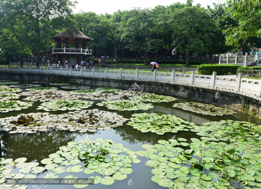 福建南普陀寺荷花池塘