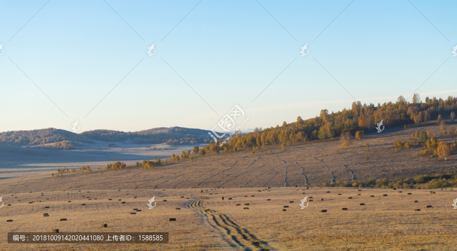 风景