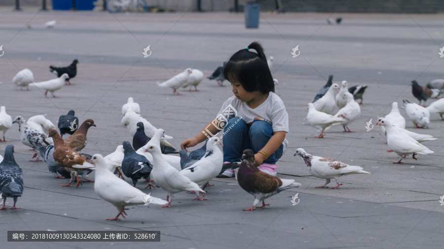 小女孩与广场鸽