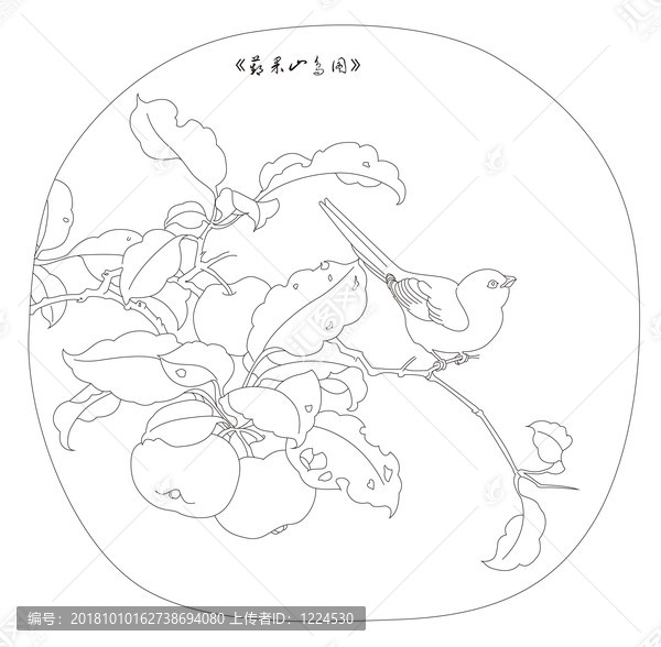 白描蘋婆山鳥圖