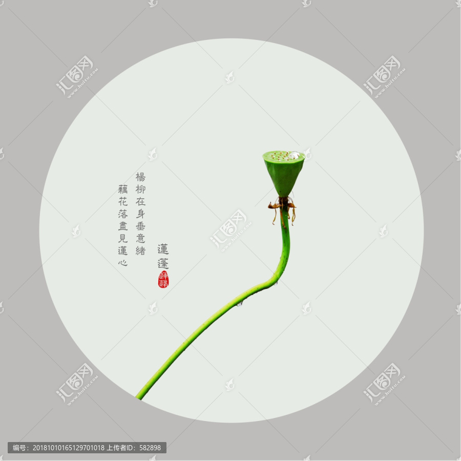 禪意蓮蓬