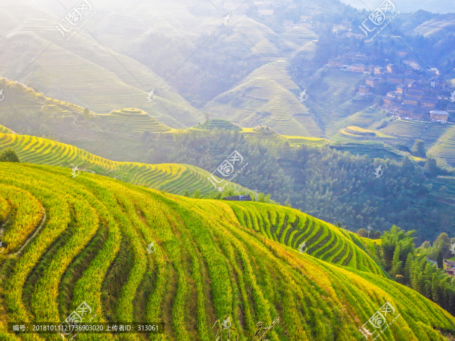 大瑶寨龙脊梯田风光