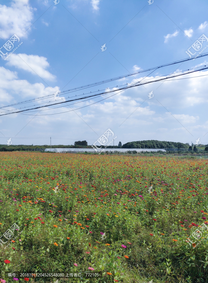 乡下的田野