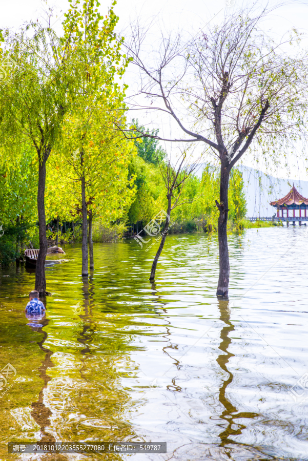 抚仙湖湿地