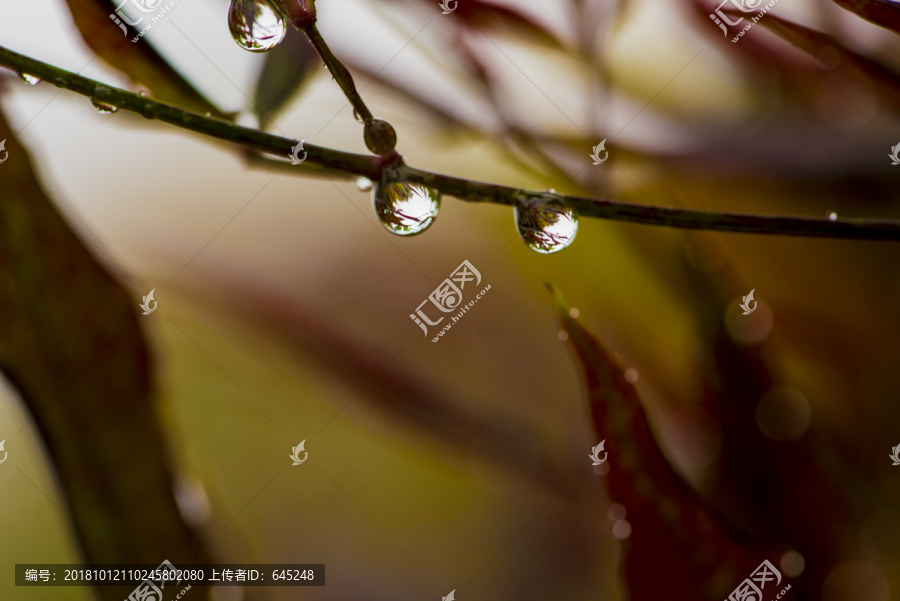 雨滴