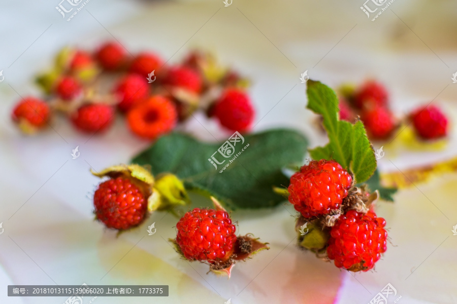 野莓