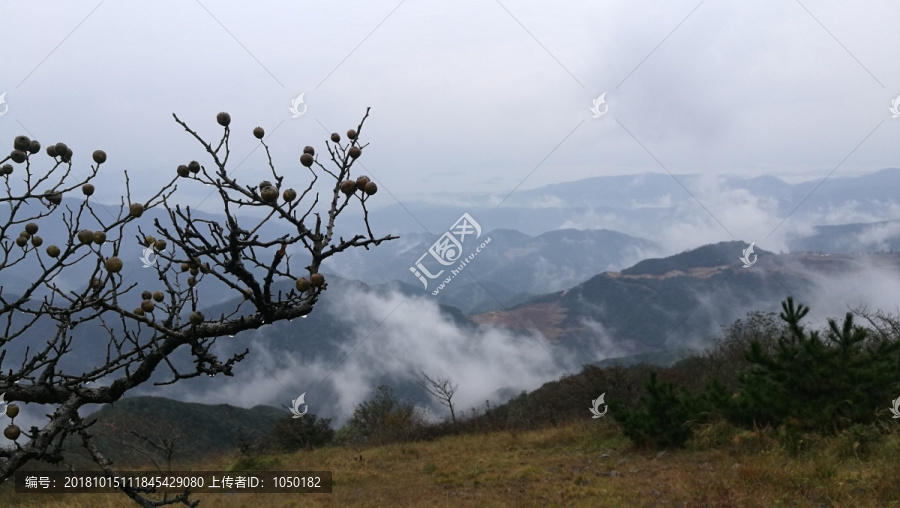 宁波宁海茶山磨柱峰风光