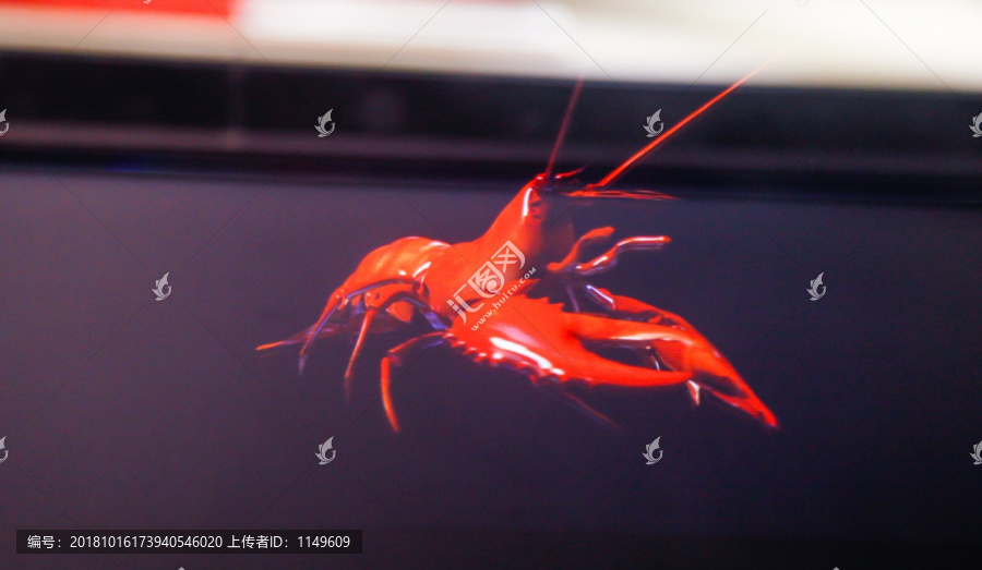 小龙虾3D模型