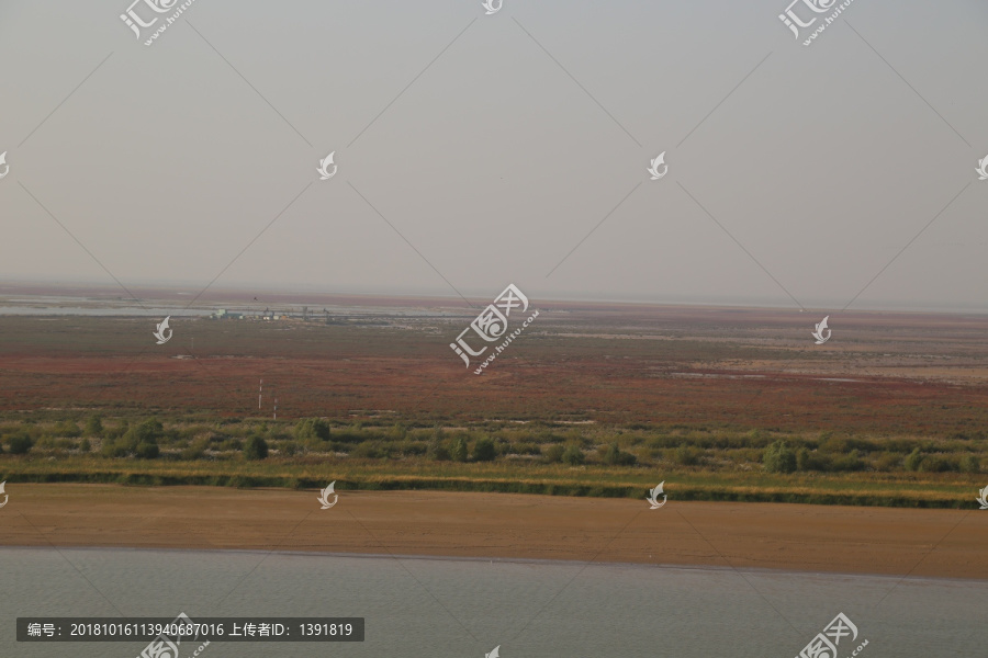 东营黄河口生态旅游区