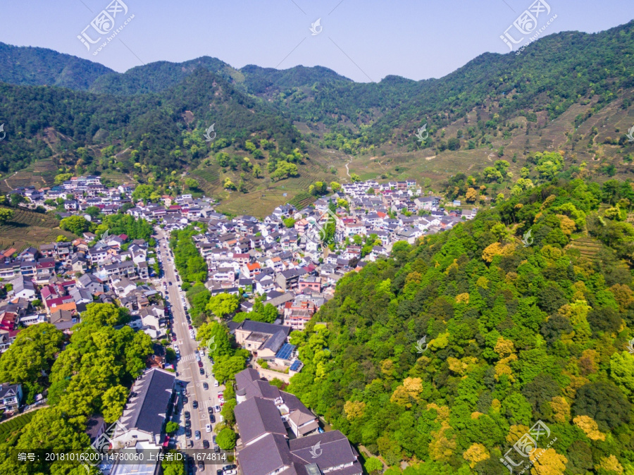 杭州西湖龙井茶园