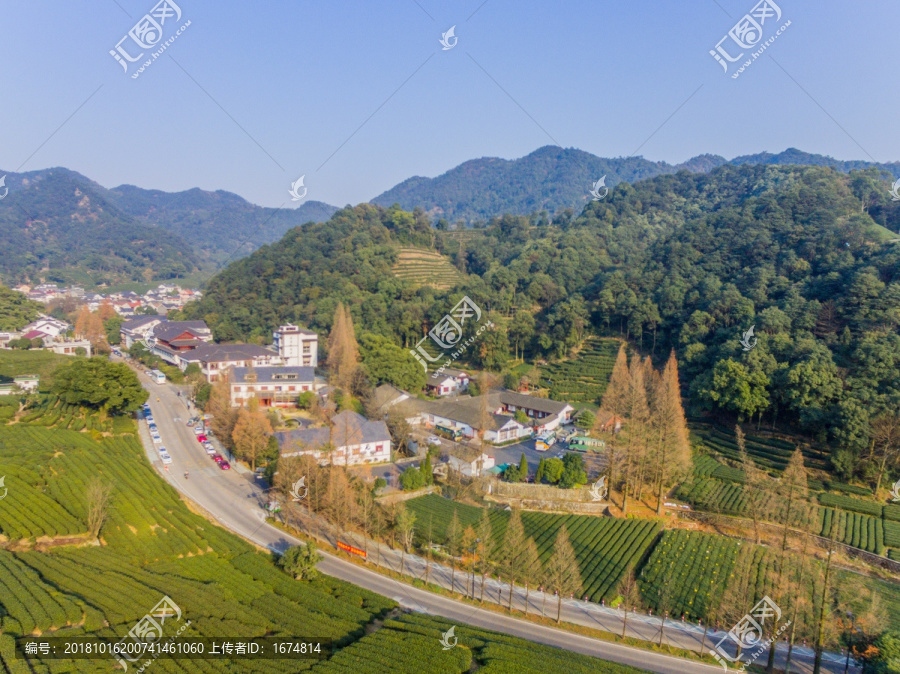 杭州西湖龙井茶园