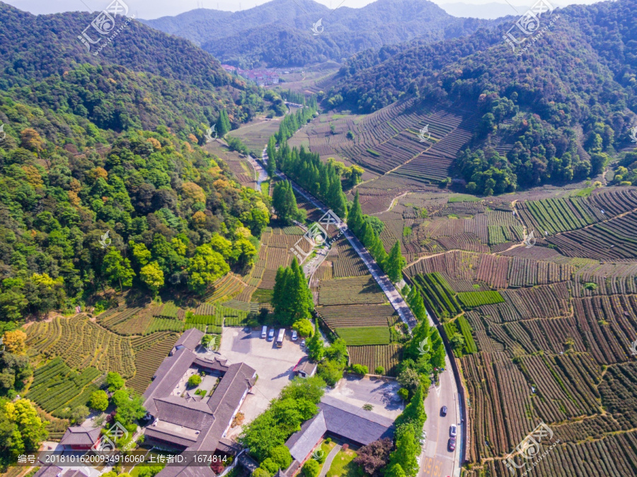 杭州西湖龙井茶园