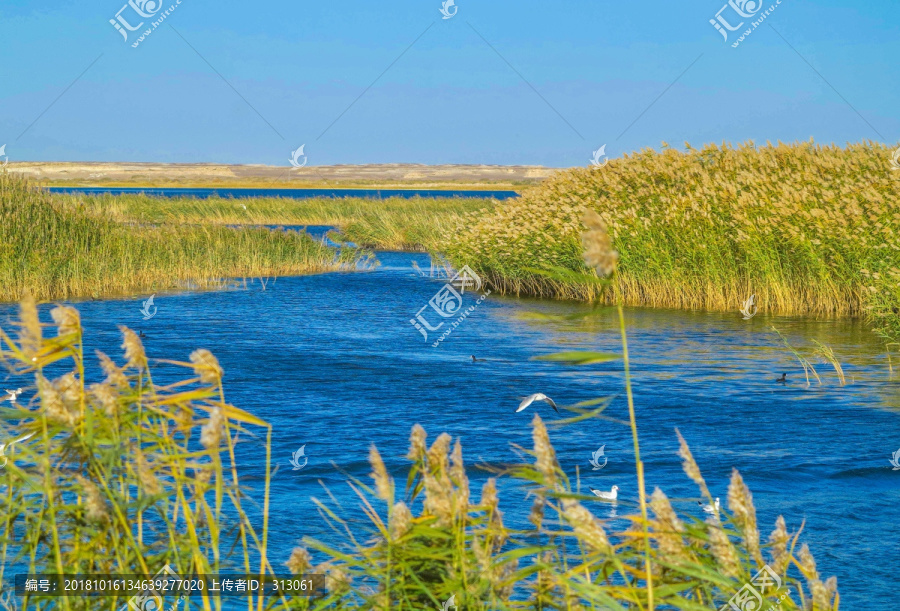 居延海