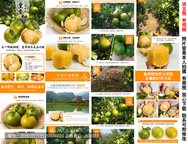皇帝柑