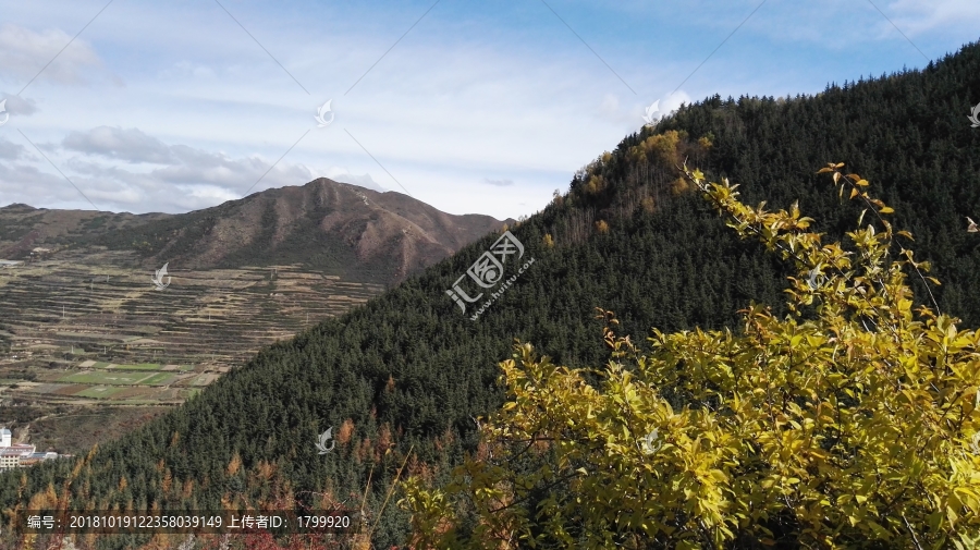 古雅秋景