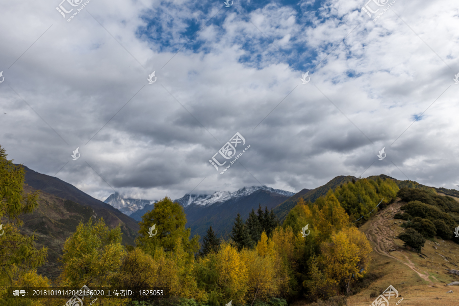 四川四姑娘山美景