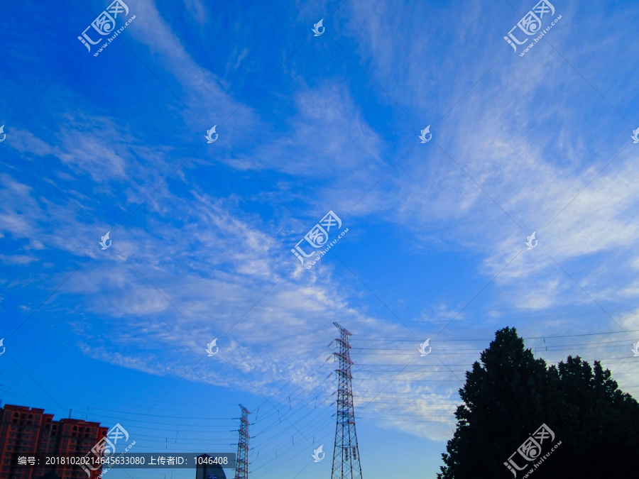 天空线杆树建筑剪影