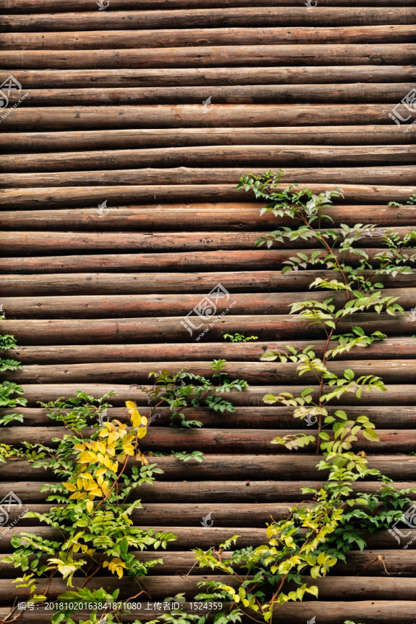 高清木头背景墙