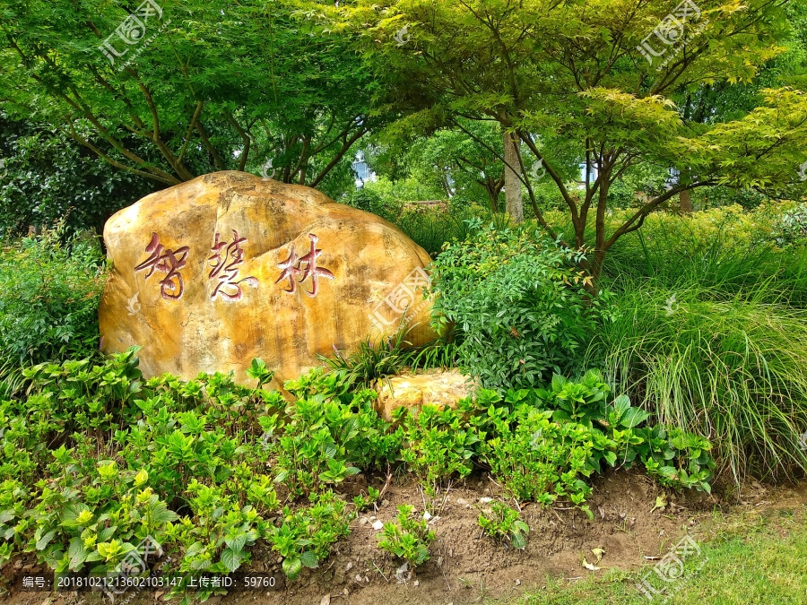 绿化风景