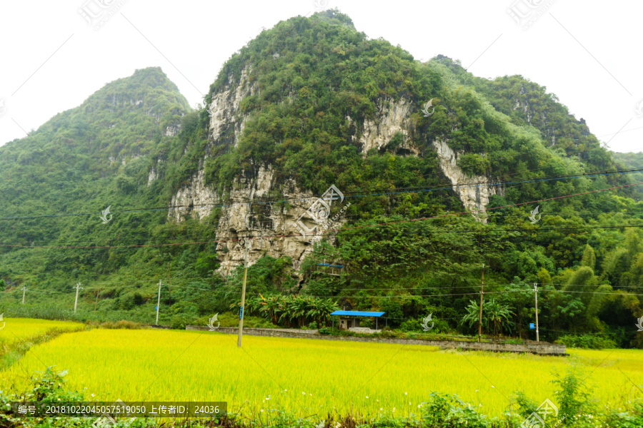 广西南宁市上林田野风光