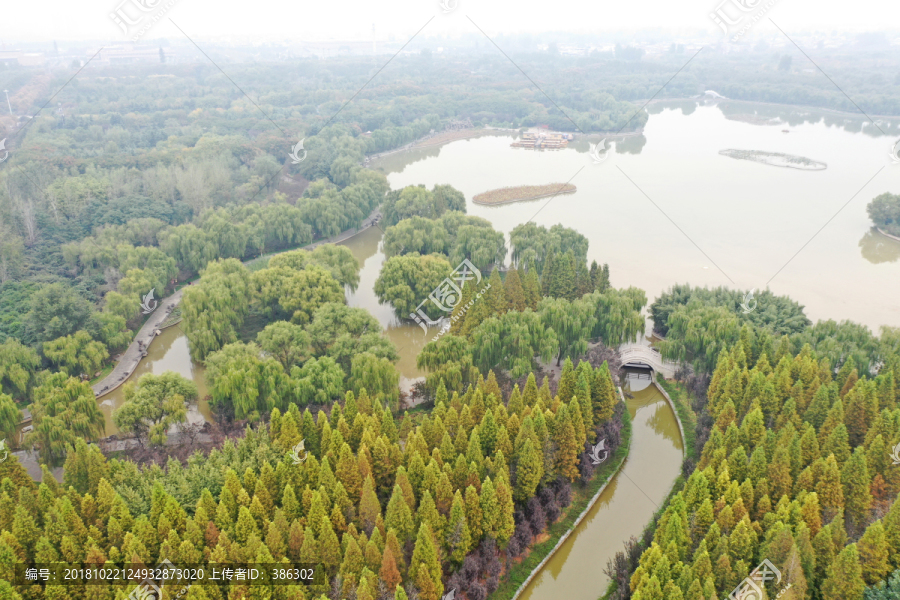 洛阳隋唐遗址植物园