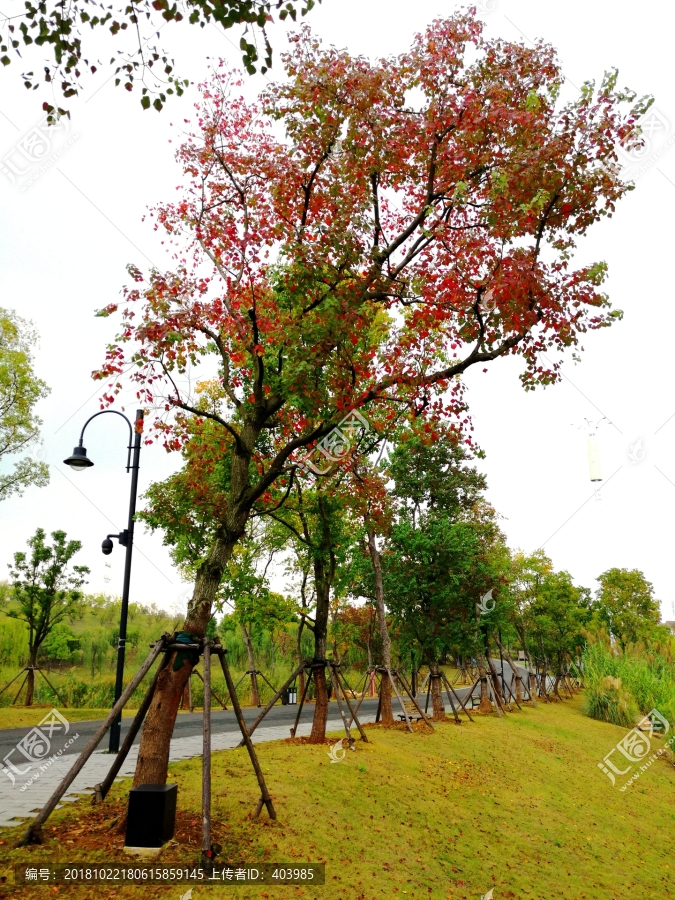 武汉东湖绿道风光