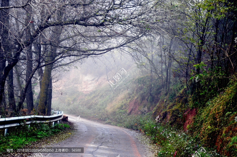 路上的风景