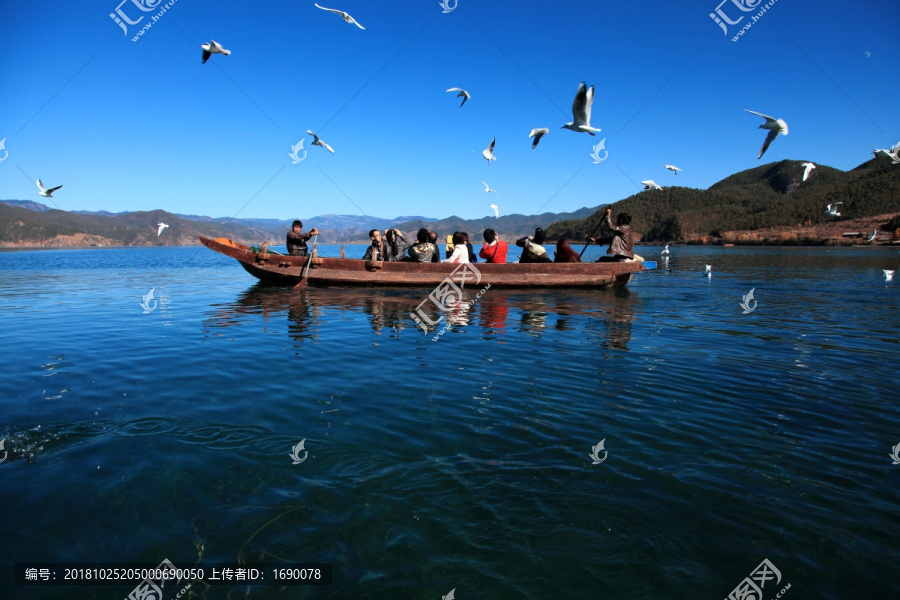 湖面海鸥小船