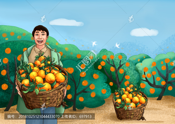 椪柑豐收