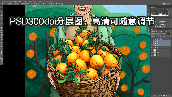 椪柑豐收